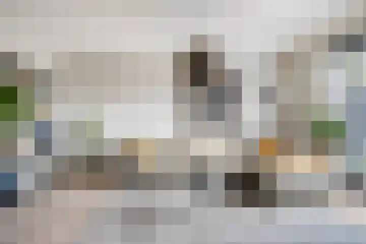 Rietven 90 Deurne thumbnail 11