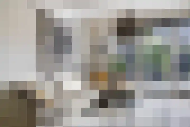 Rietven 90 Deurne thumbnail 12