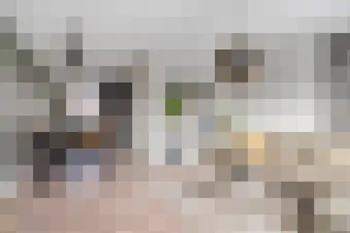 Rietven 90 Deurne thumbnail 13