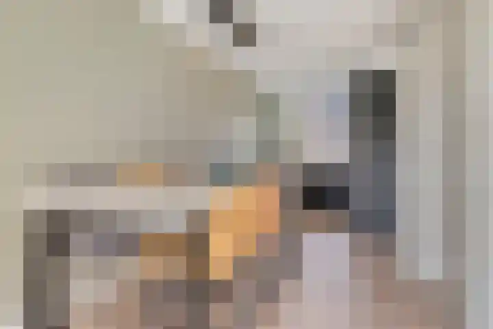 Rietven 90 Deurne thumbnail 14
