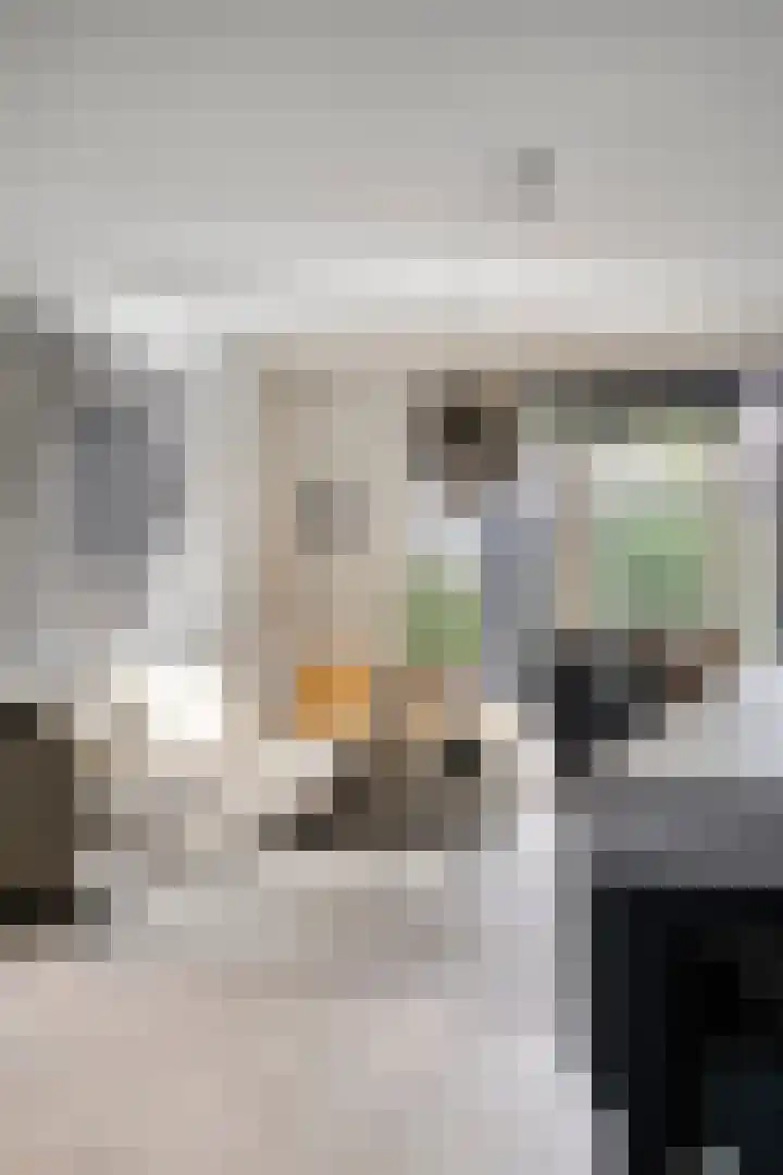 Rietven 90 Deurne thumbnail 15