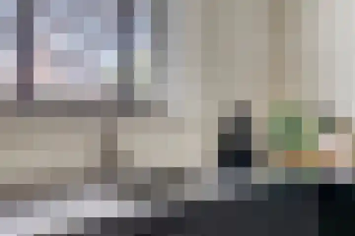 Rietven 90 Deurne thumbnail 19
