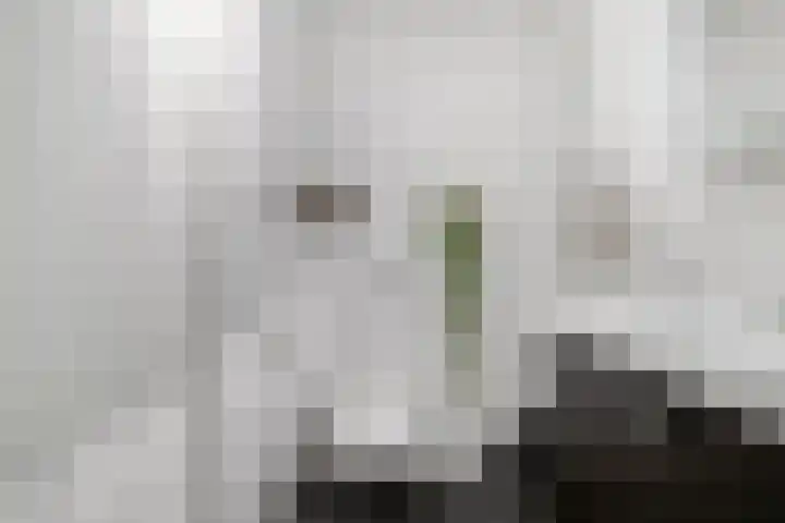 Rietven 90 Deurne thumbnail 27
