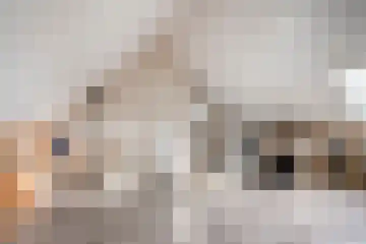 Rietven 90 Deurne thumbnail 32