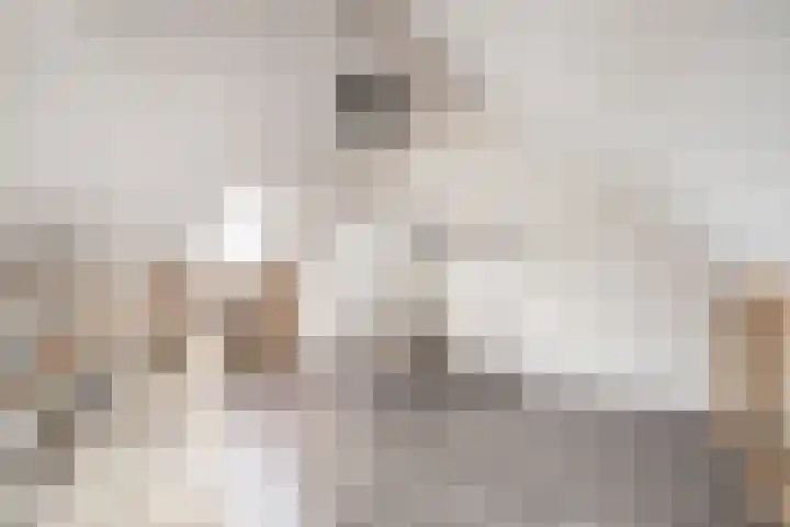 Rietven 90 Deurne thumbnail 33
