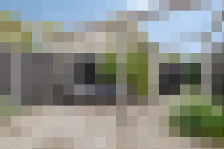 Rietven 90 Deurne thumbnail 34
