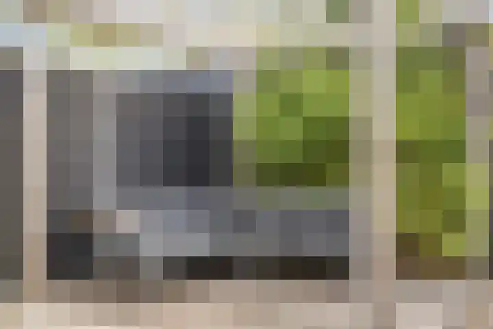 Rietven 90 Deurne thumbnail 35