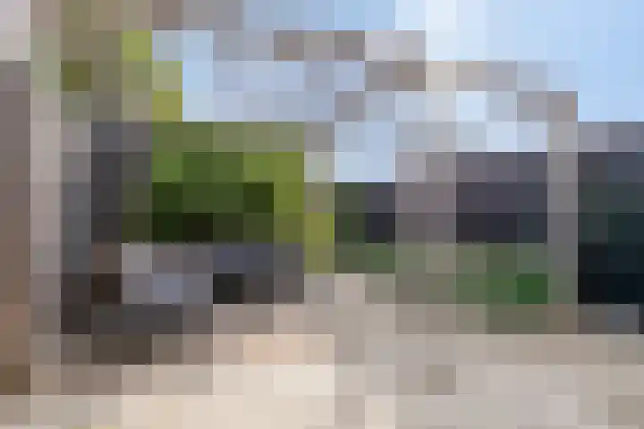 Rietven 90 Deurne thumbnail 36