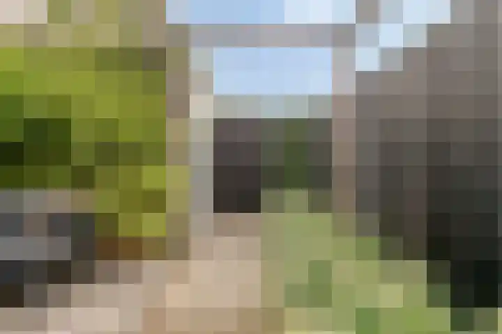 Rietven 90 Deurne thumbnail 37