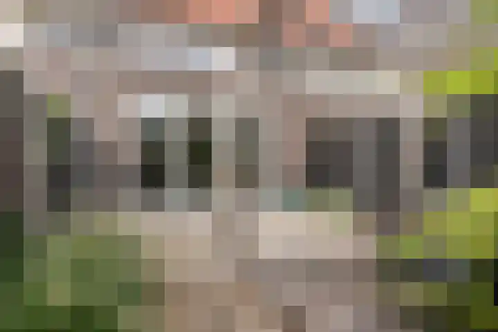Rietven 90 Deurne thumbnail 38