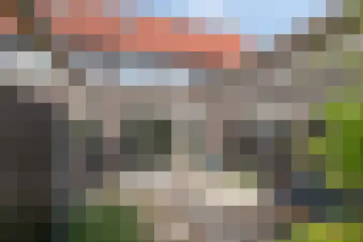 Rietven 90 Deurne thumbnail 39