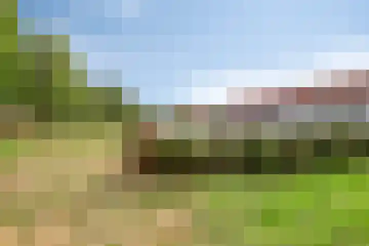 Rietven 90 Deurne thumbnail 41