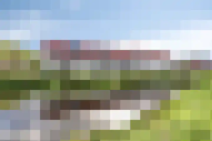 Rietven 90 Deurne thumbnail 42