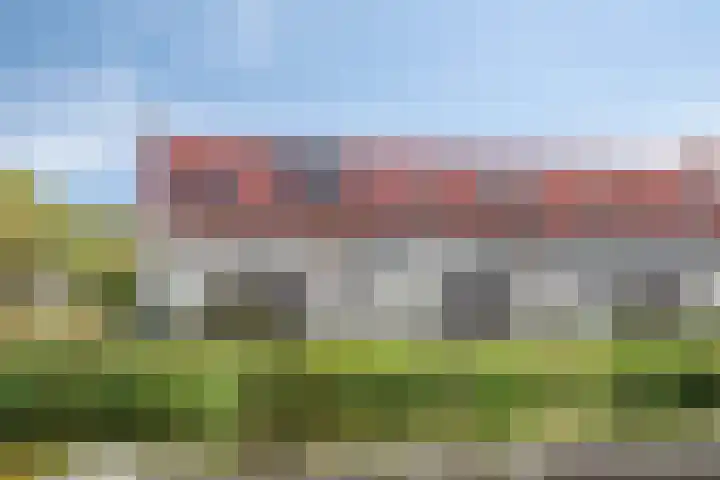 Rietven 90 Deurne thumbnail 43