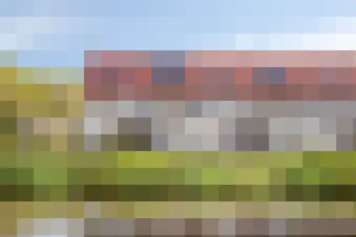 Rietven 90 Deurne thumbnail 44