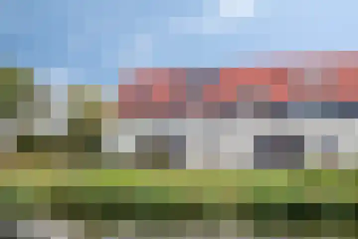 Rietven 90 Deurne thumbnail 6
