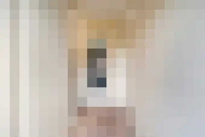 Rietven 90 Deurne thumbnail 8