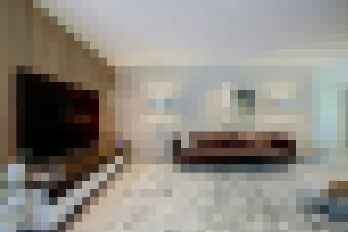 Rietvink 25 Ridderkerk thumbnail 13
