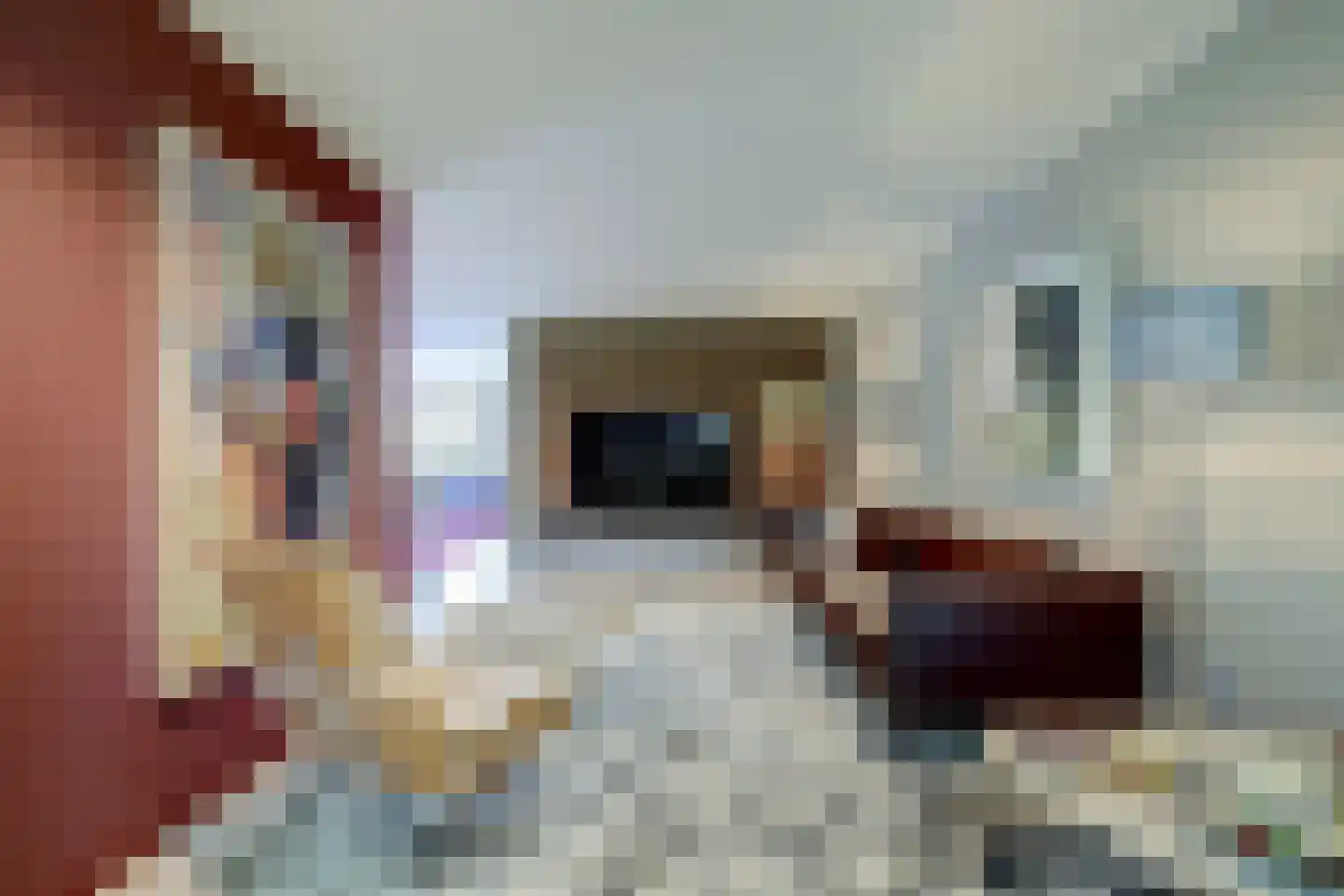 Rietvink 25 Ridderkerk thumbnail 15