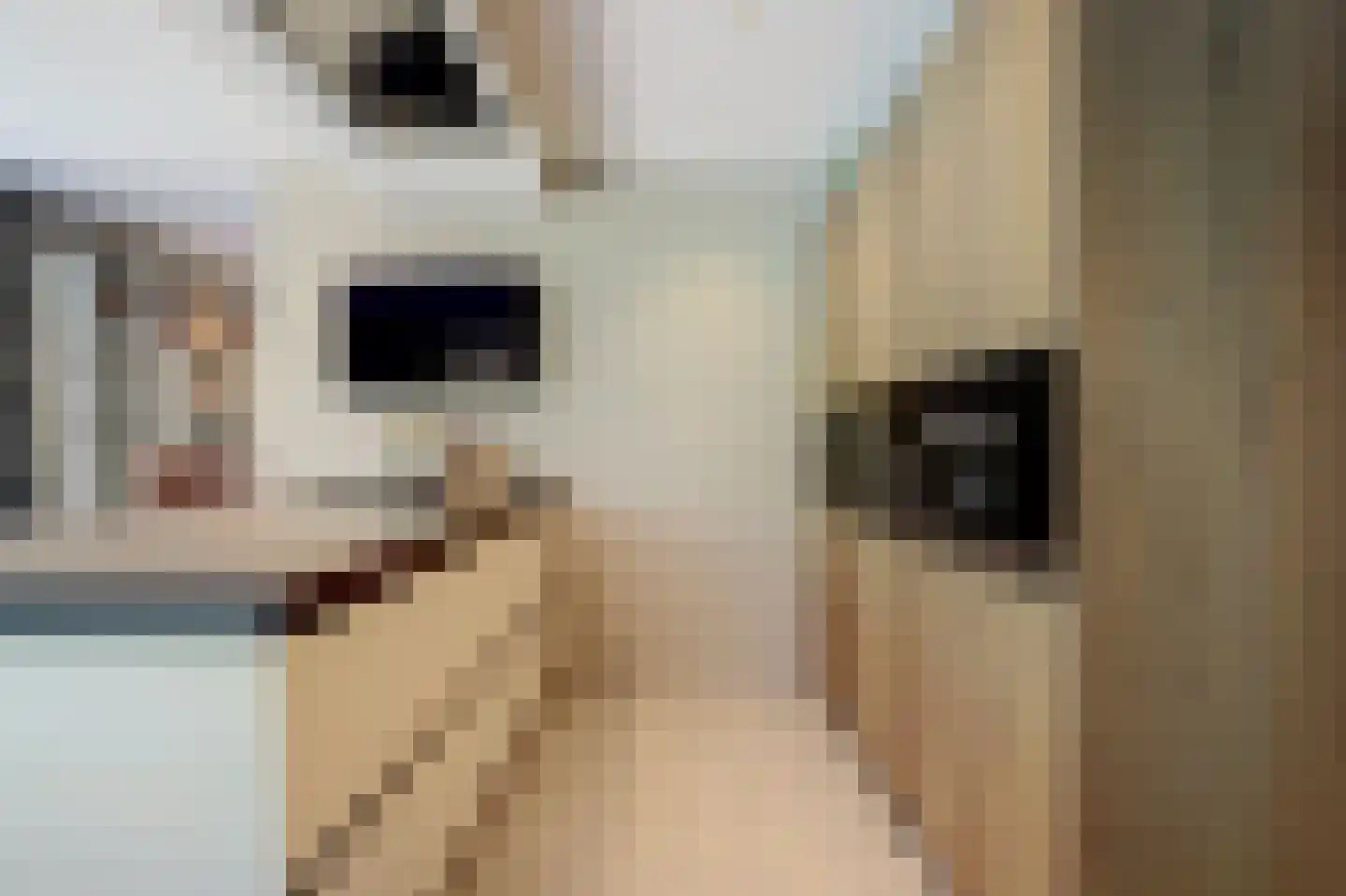 Rietvink 25 Ridderkerk thumbnail 20
