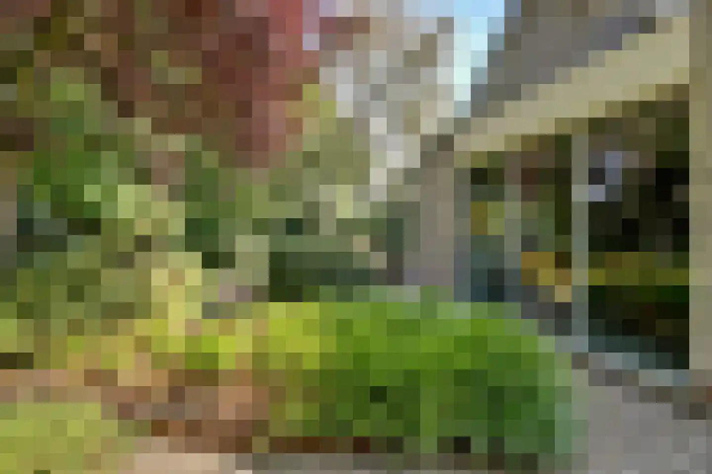 Rietvink 25 Ridderkerk thumbnail 42