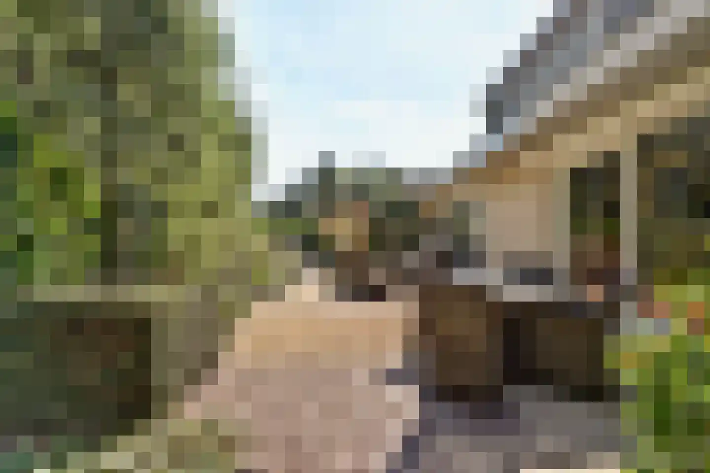 Rietvink 25 Ridderkerk thumbnail 43