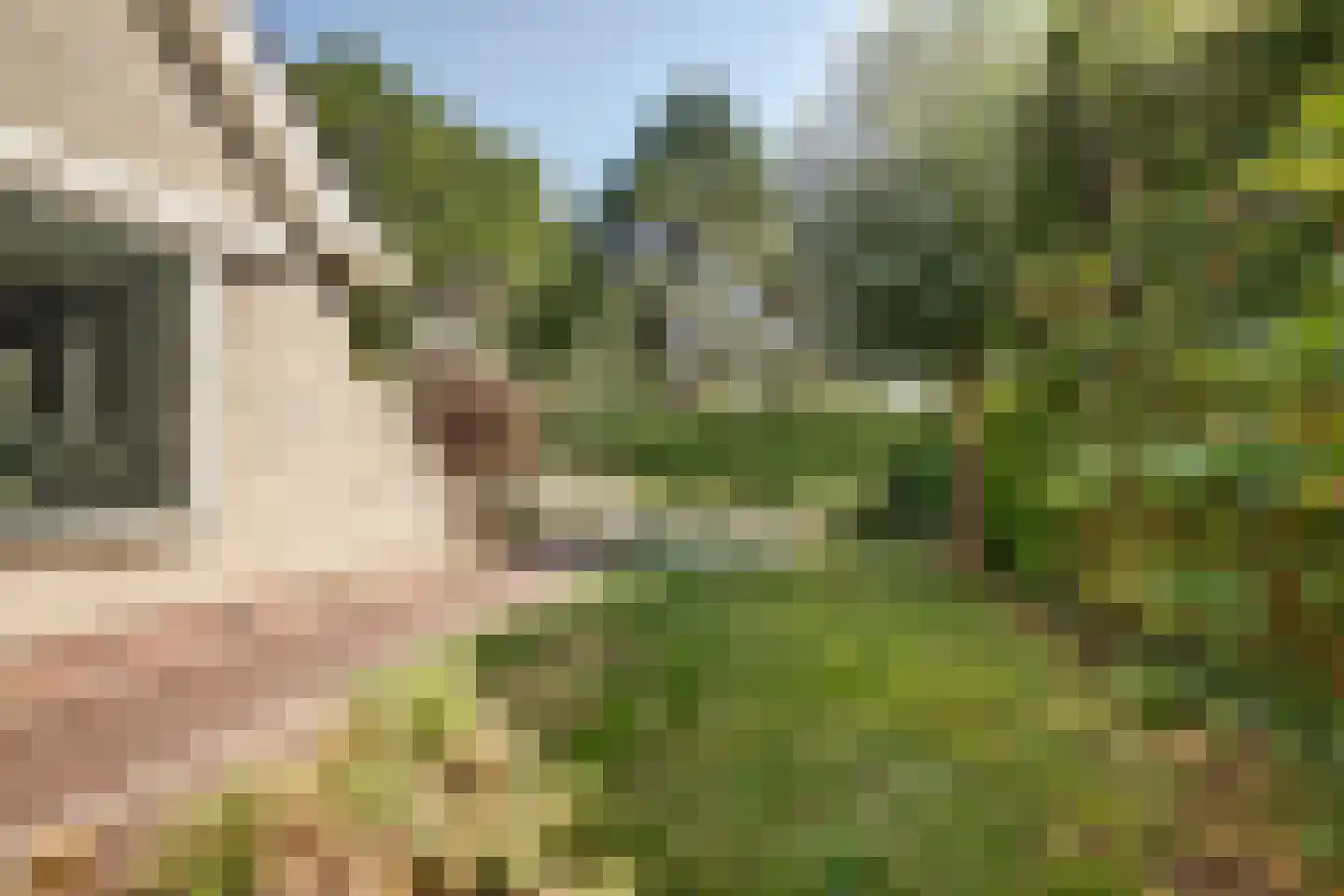 Rietvink 25 Ridderkerk thumbnail 44