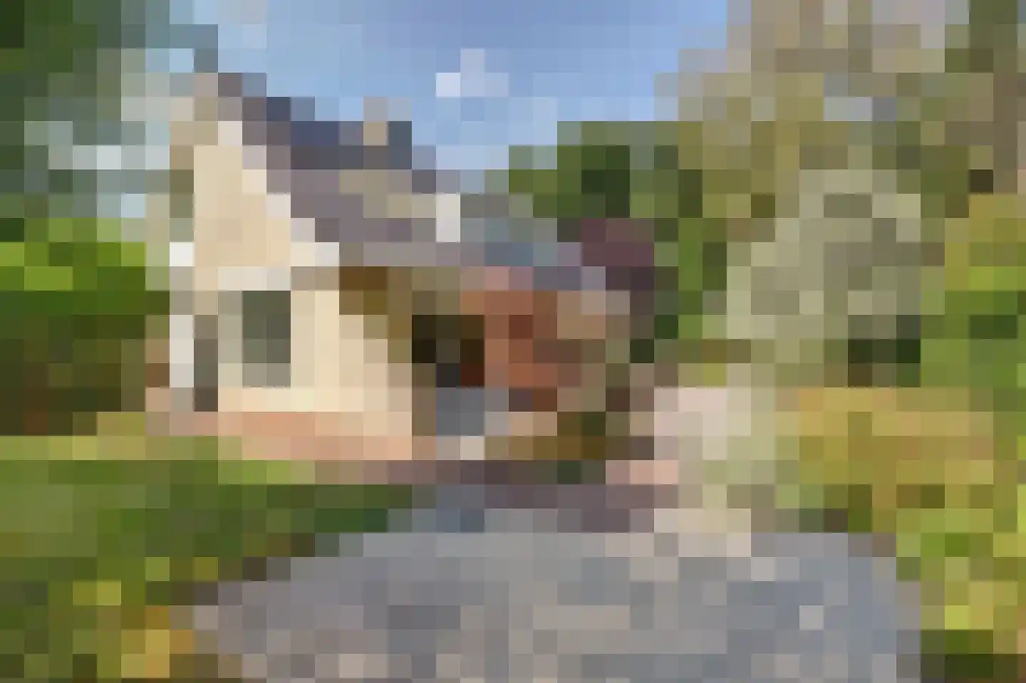 Rietvink 25 Ridderkerk thumbnail 45