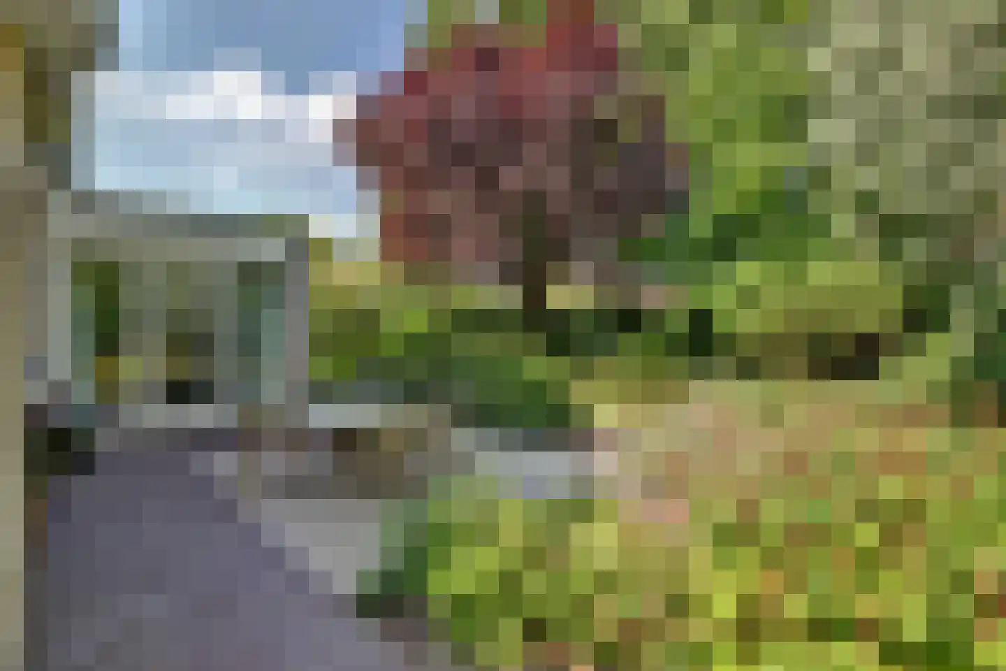 Rietvink 25 Ridderkerk thumbnail 46