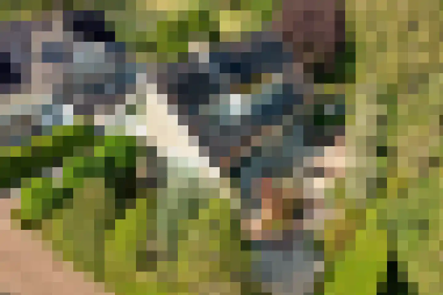 Rietvink 25 Ridderkerk thumbnail 49