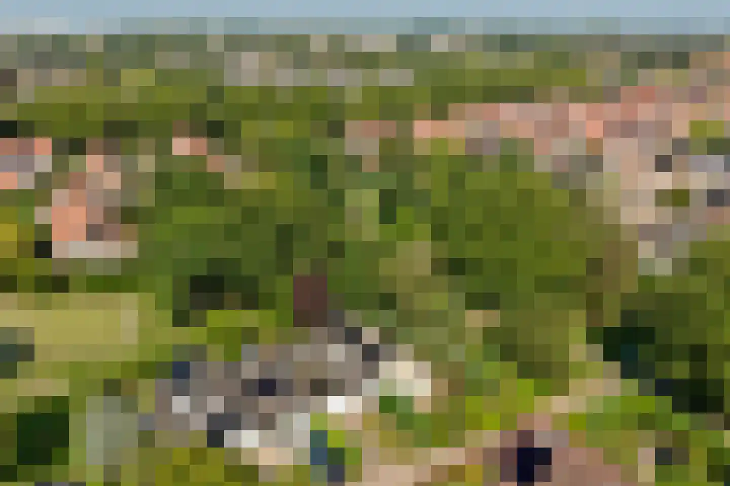 Rietvink 25 Ridderkerk thumbnail 50
