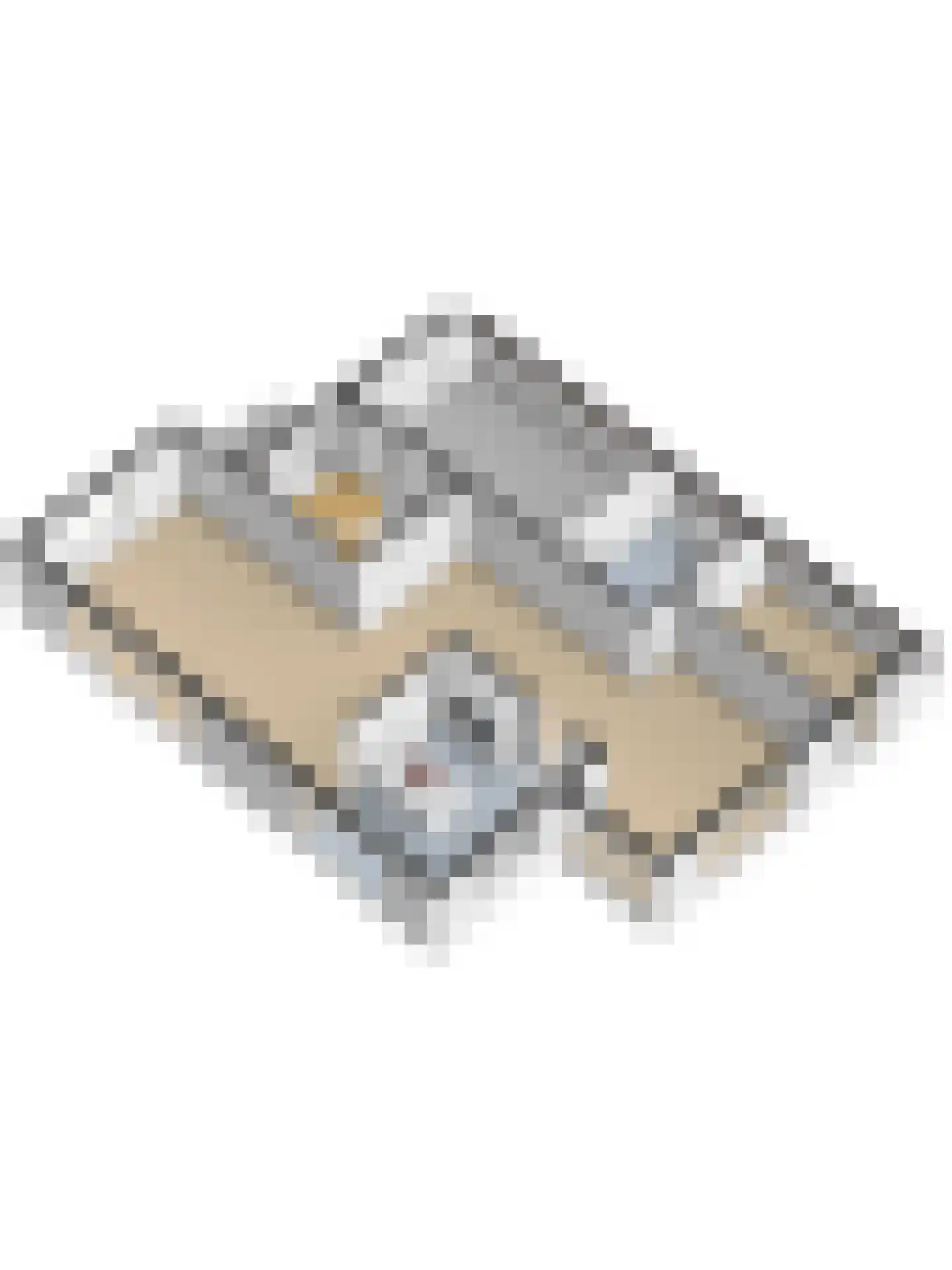 Rietvink 25 Ridderkerk thumbnail 53