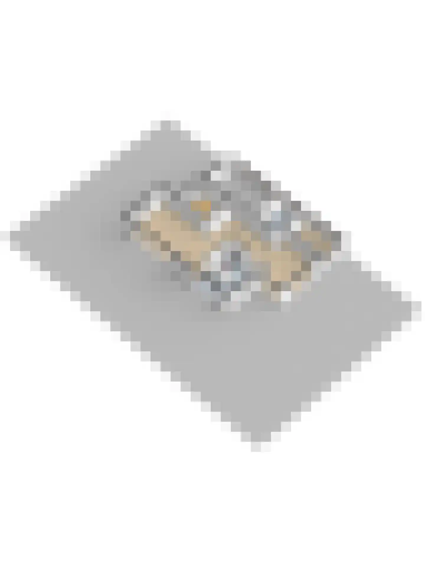 Rietvink 25 Ridderkerk thumbnail 59