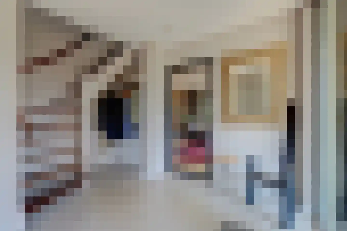 Rietvink 25 Ridderkerk thumbnail 9