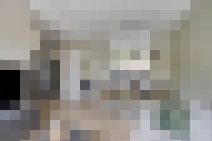 Rietvink 30 Wervershoof thumbnail 10