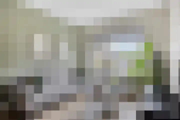 Rietvink 30 Wervershoof thumbnail 12