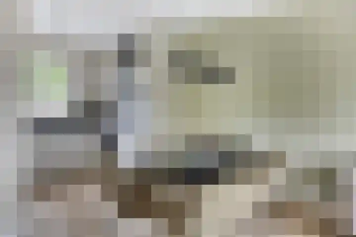 Rietvink 30 Wervershoof thumbnail 13