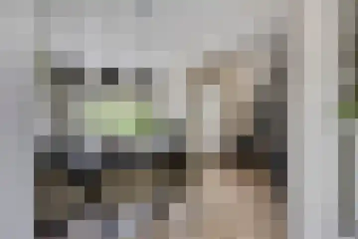 Rietvink 30 Wervershoof thumbnail 17