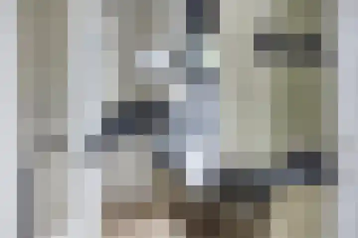 Rietvink 30 Wervershoof thumbnail 18