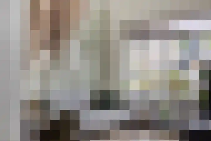 Rietvink 30 Wervershoof thumbnail 19