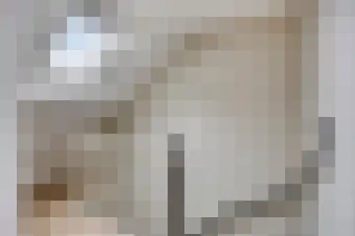 Rietvink 30 Wervershoof thumbnail 21