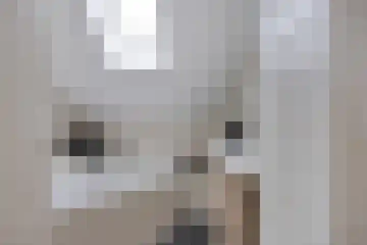 Rietvink 30 Wervershoof thumbnail 25