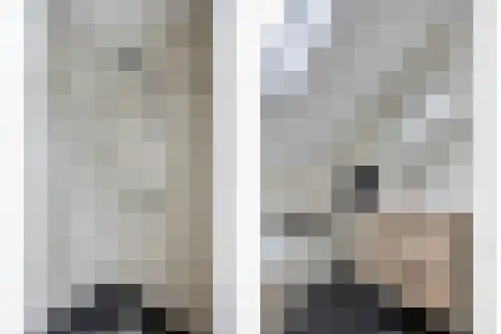Rietvink 30 Wervershoof thumbnail 26