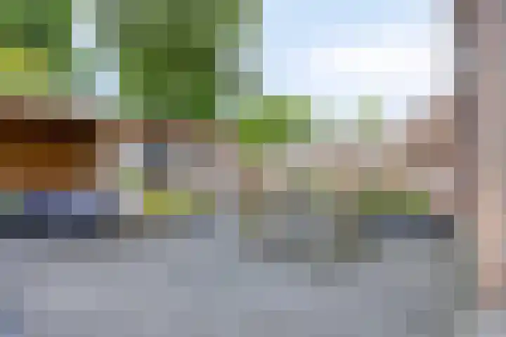 Rietvink 30 Wervershoof thumbnail 27