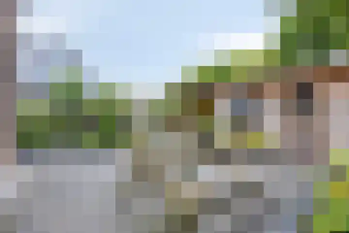 Rietvink 30 Wervershoof thumbnail 28