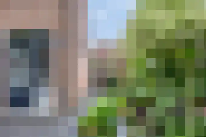 Rietvink 30 Wervershoof thumbnail 31