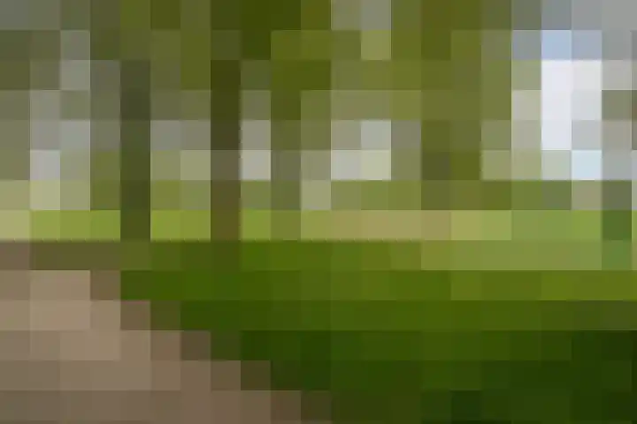 Rietvink 30 Wervershoof thumbnail 32