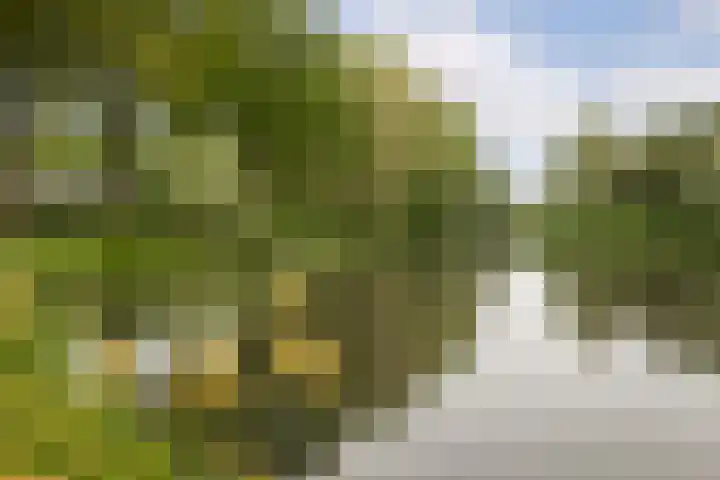 Rietvink 30 Wervershoof thumbnail 33
