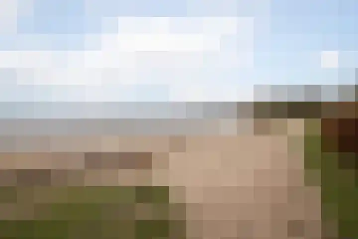 Rietvink 30 Wervershoof thumbnail 34