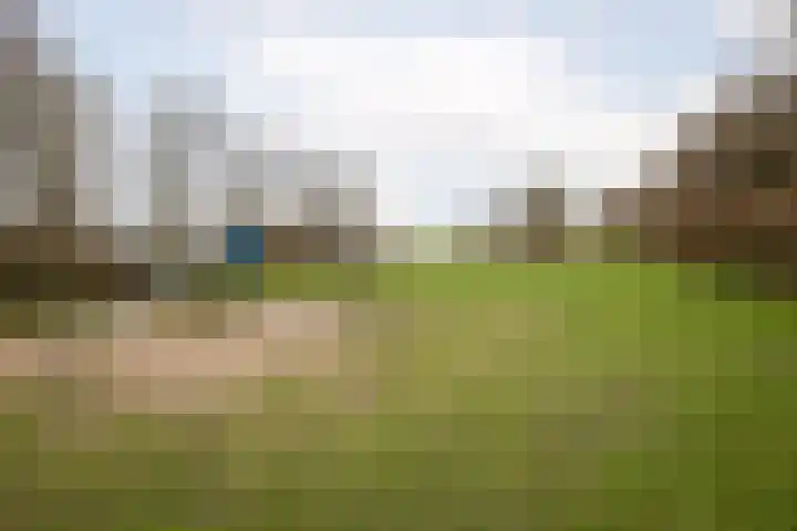 Rietvink 30 Wervershoof thumbnail 35